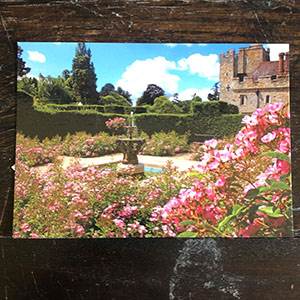 Tudor Garden Postcard